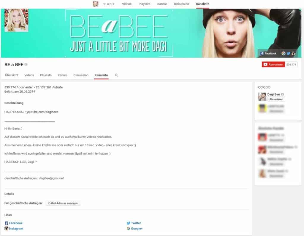 be-a-bee-youtube-einnahmen