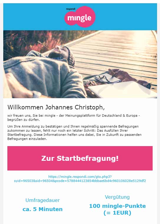 Screenshot E-Mail Mingle Basis-Befragung