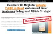 Screenshot der YouTube Shorts Affiliate Strategie Erfarhungen