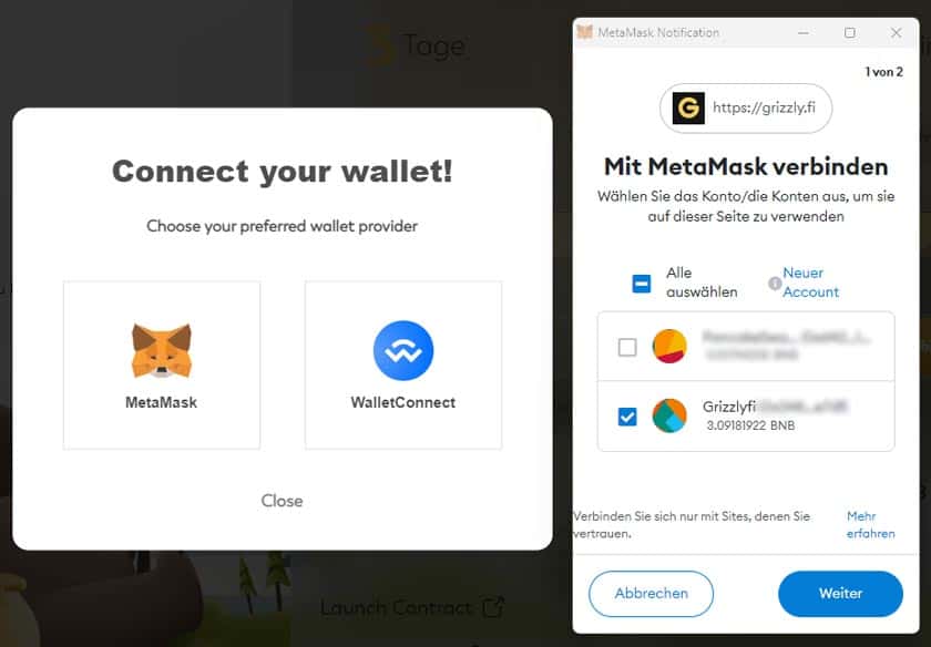 Screenshot Grizzlyfi Launch MetaMask